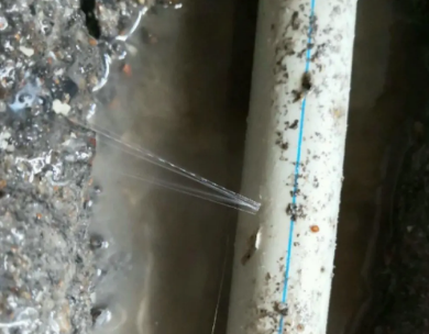 永川测漏水哪家好