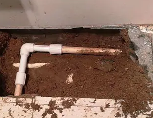 永川测漏水哪家好