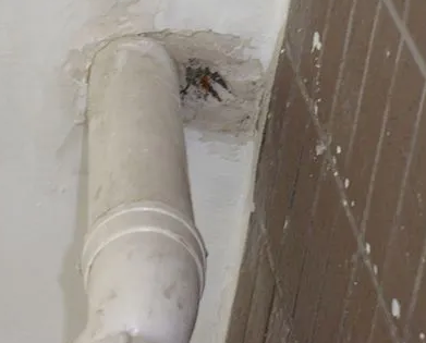 永川漏水检测哪家好