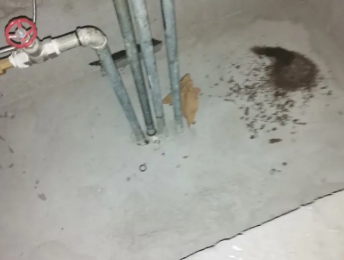 永川卫生间测漏水价格明细